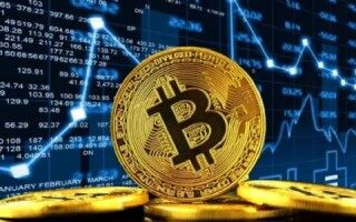 元宝网的币去哪里了(元宝网的币有人找回来了吗)